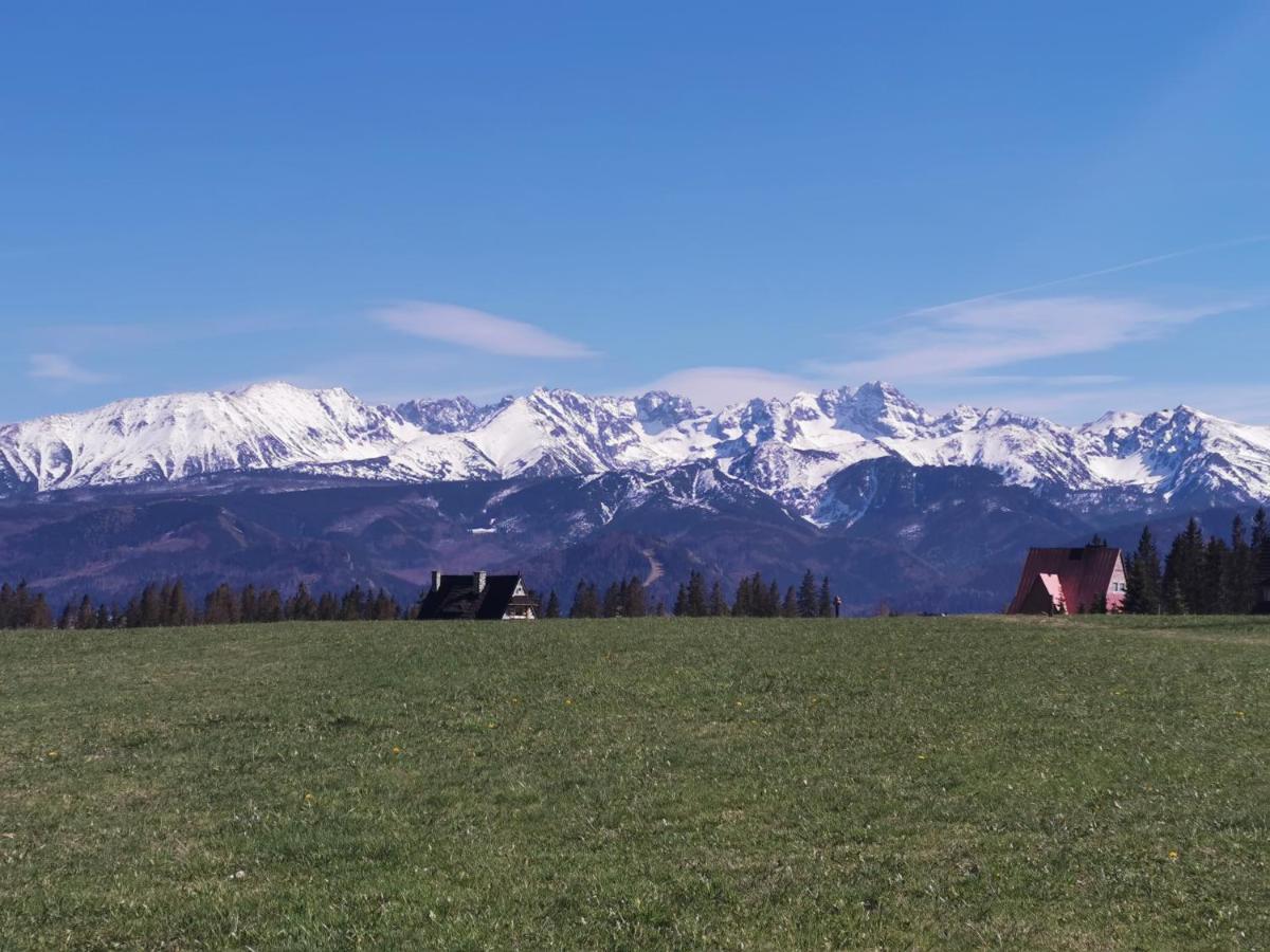 Dom Wczasowy Na Szczycie Zakopane Bagian luar foto