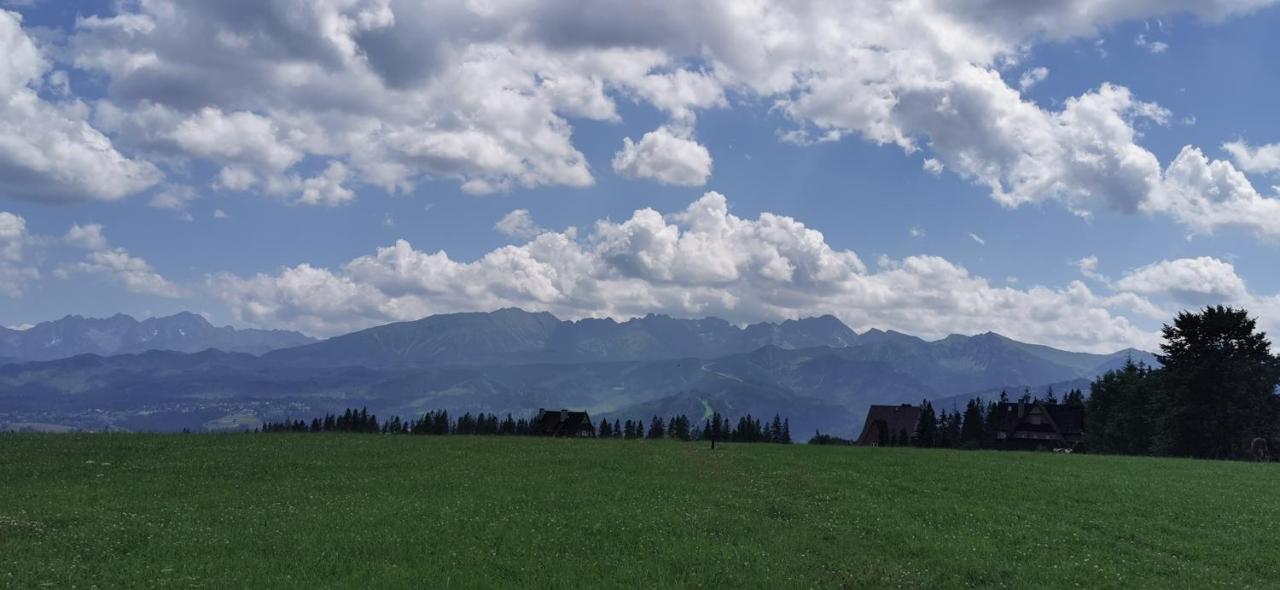 Dom Wczasowy Na Szczycie Zakopane Bagian luar foto