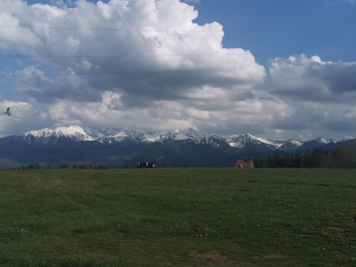 Dom Wczasowy Na Szczycie Zakopane Bagian luar foto