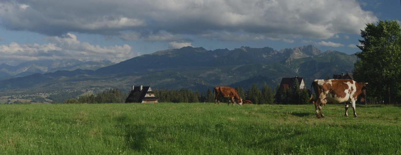 Dom Wczasowy Na Szczycie Zakopane Bagian luar foto